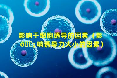 影响干细胞诱导的因素（影 🐡 响诱导力大小的因素）